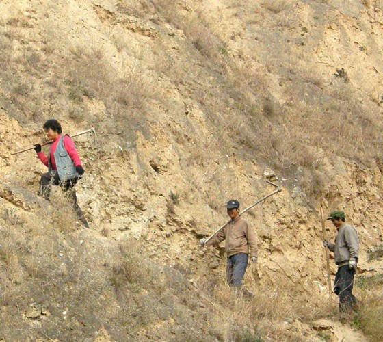 雖沒有十里桃林，漫山遍野的灼灼芳華。但我們有萬畝國家級標準化油橄欖種植示范基地，漫山遍野，香氣撲鼻。畝是中國市制土地面積單位，一畝等于六十平..